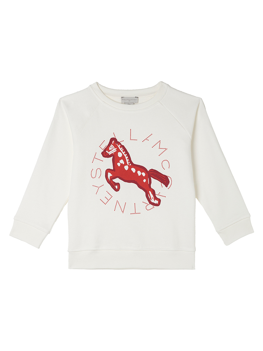 Толстовка Stella McCartney TY4R50 Z0499/101