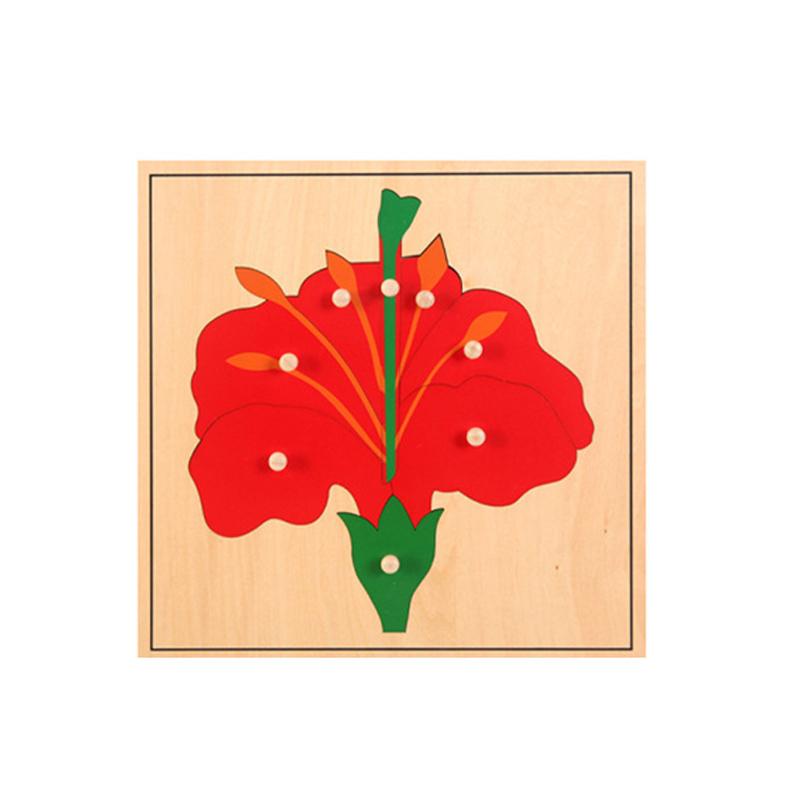 Wooden Natural Scien Puzzle Montessori Toys Animals/Plants/Insects/Fruits/Human Organ Structure Educational Toys For Children red Phone Case CSWO02