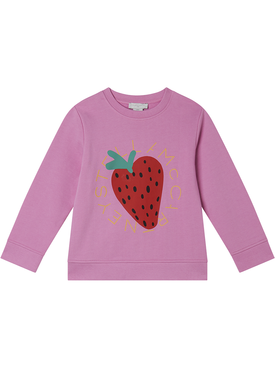 Толстовка Stella McCartney TW4A90 Z0499/552