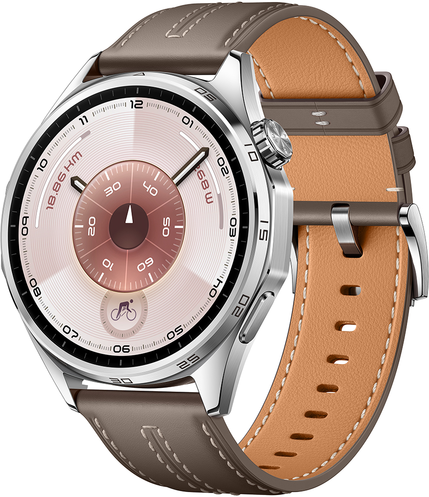 Умные часы Huawei Watch GT6 46мм Серые 55020FWE