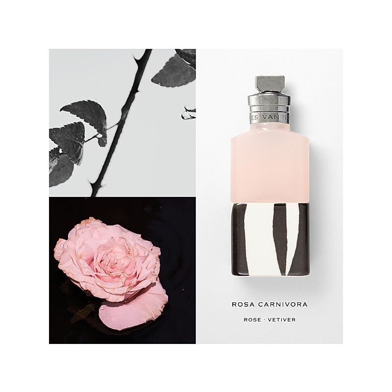 Rosa Carnivora Dries Van Noten
