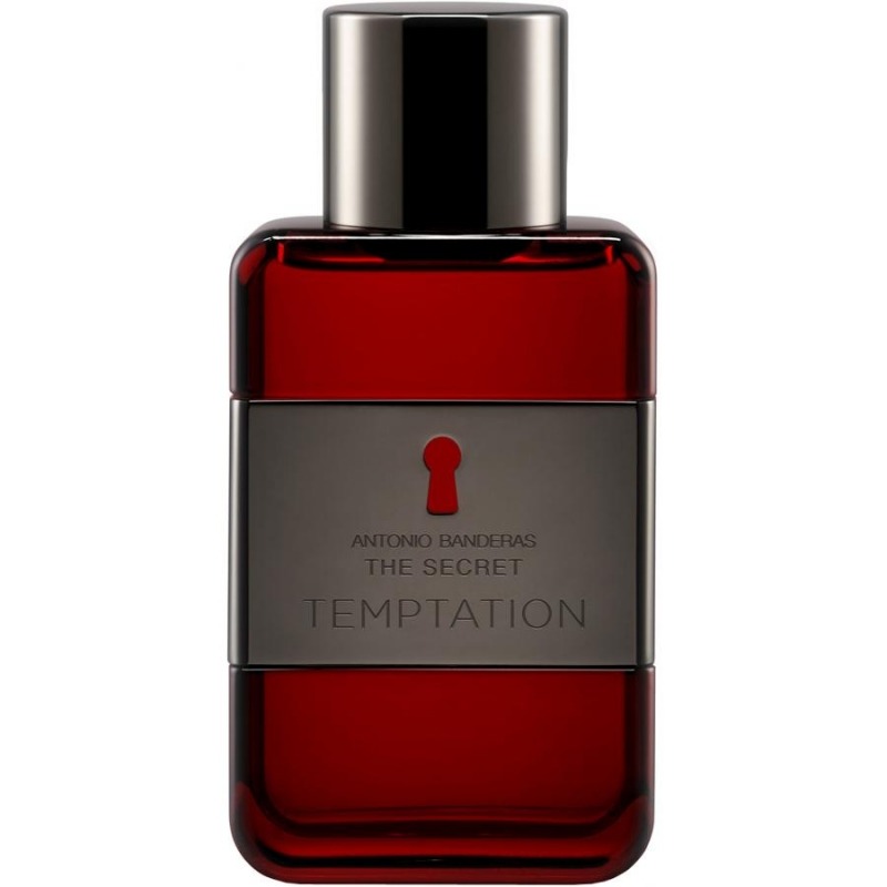 The Secret Temptation Antonio Banderas