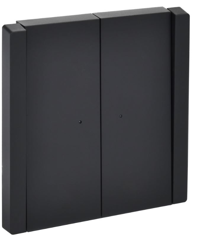 Переключатель двухклавишный IEK FP-V22-1-10-1-K02 FORTE&PIANO с инд. 10А FP108 черный