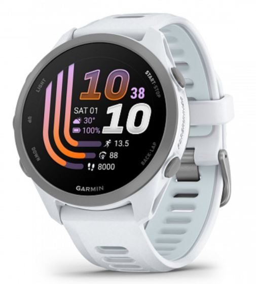 Часы Garmin Forerunner 170 010-03920-01G Whitestone / Cloud Blue