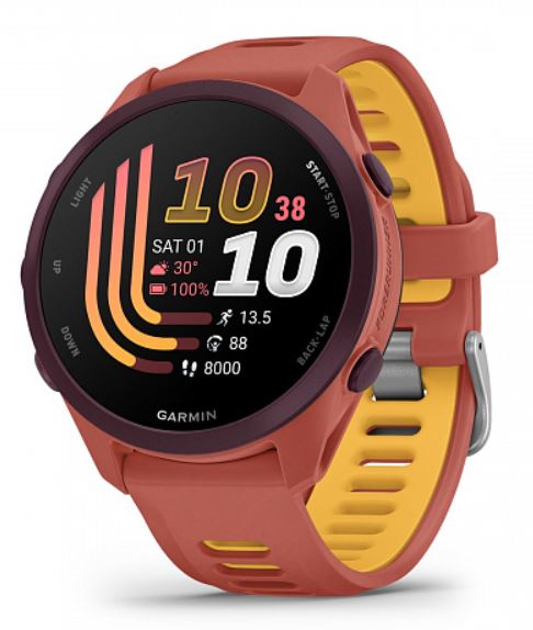 Часы Garmin Forerunner 170 010-03920-13G Music Red Pink / Mango