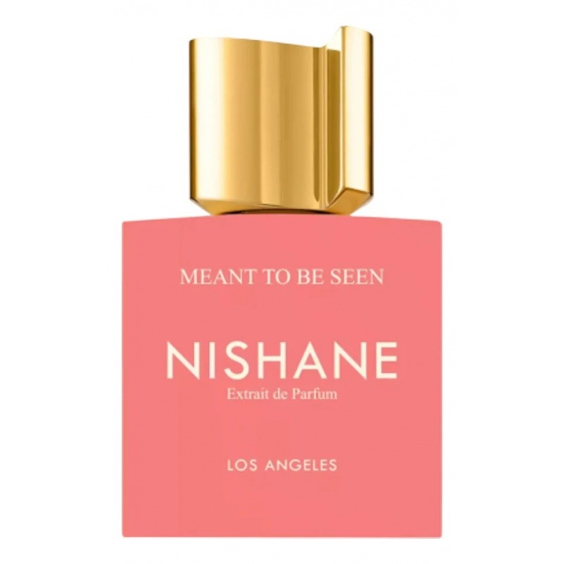 Meant To Be Seen NISHANE