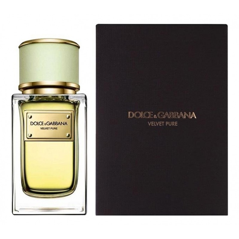 Velvet Pure DOLCE & GABBANA