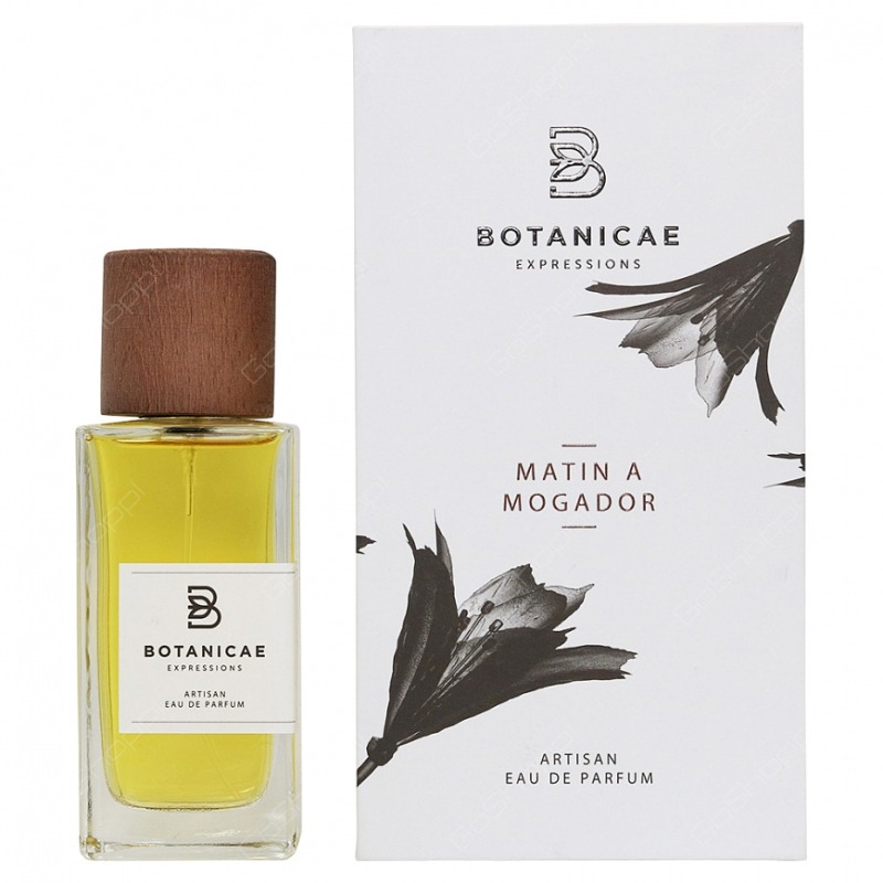 Matin a Mogador Botanicae
