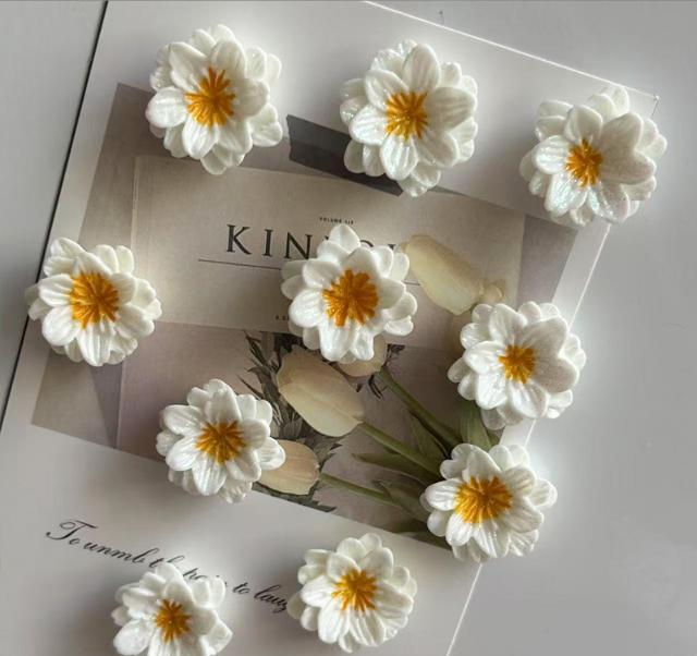 3D Resin Flower Refrigerator Magnets Set of 10 Kitchen Decorative Magnets Small Daisy Design with Magnetic Backing for Fridge Locker White One Size белый heima B