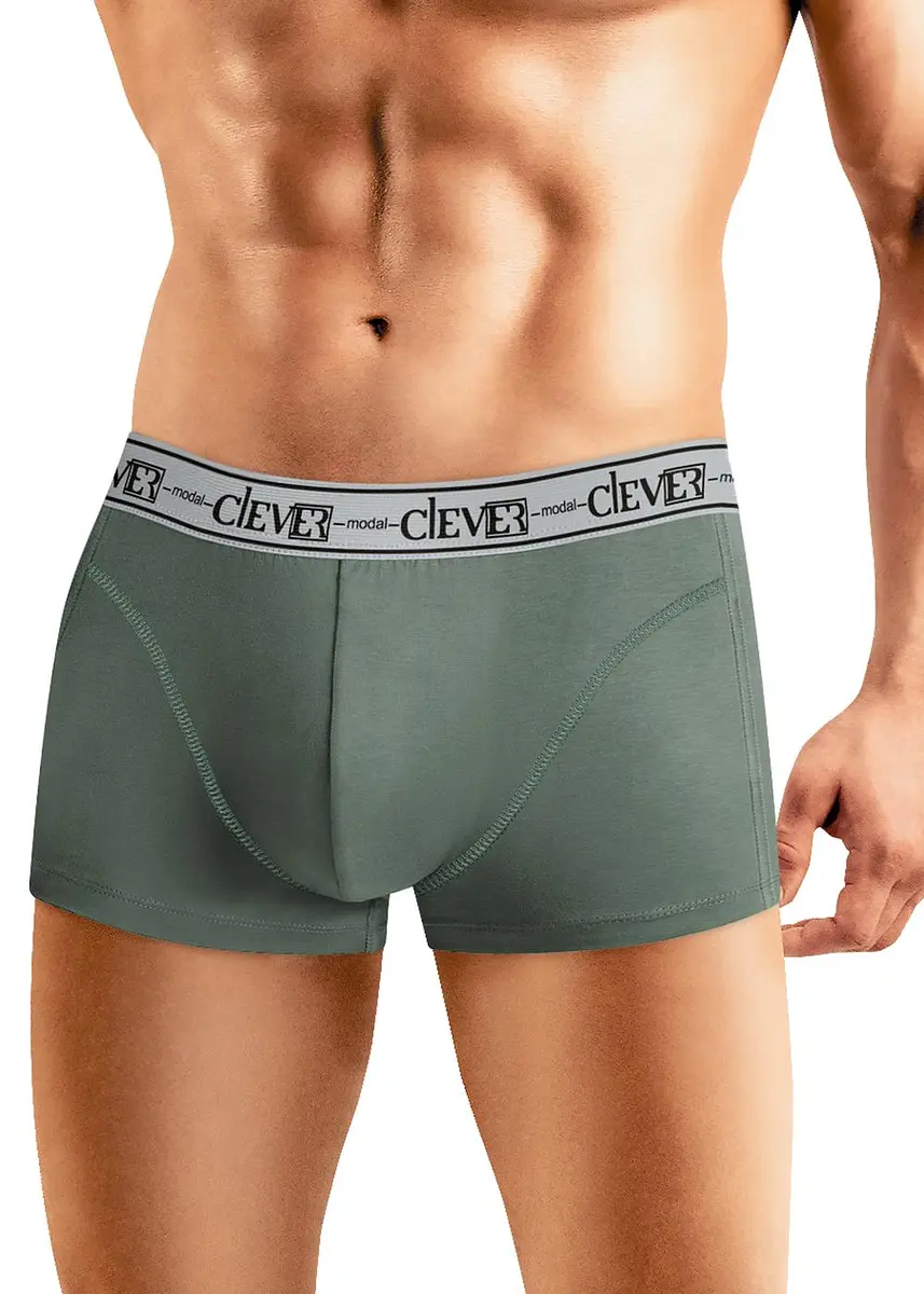Трусы мужские CLEVER шорты хлопковые зелёные