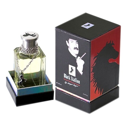 Black Stallion by Sergio Goyri Eclectic Collections