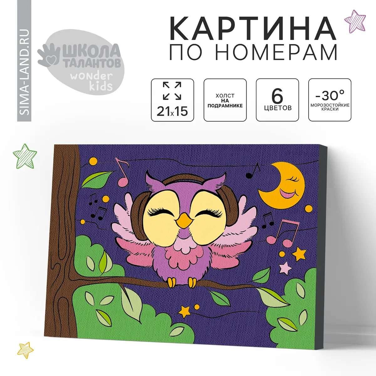 Картина по номерам Школа талантов Сова в наушниках 21×15 см
