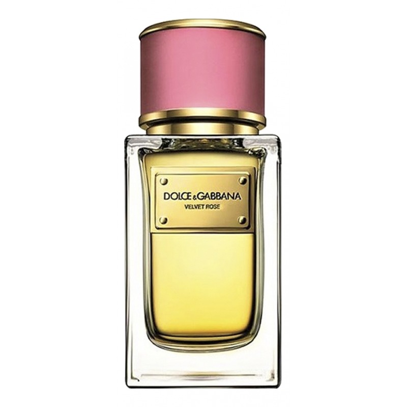 Velvet Rose DOLCE & GABBANA