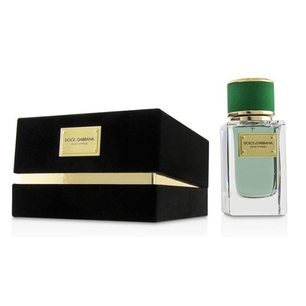 Velvet Cypress DOLCE & GABBANA