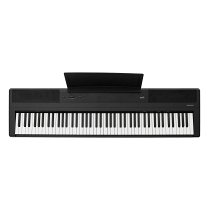 Hammerpiano 1 BK Emotive