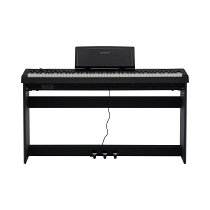 NOCTURNE S 256 BK ROCKDALE