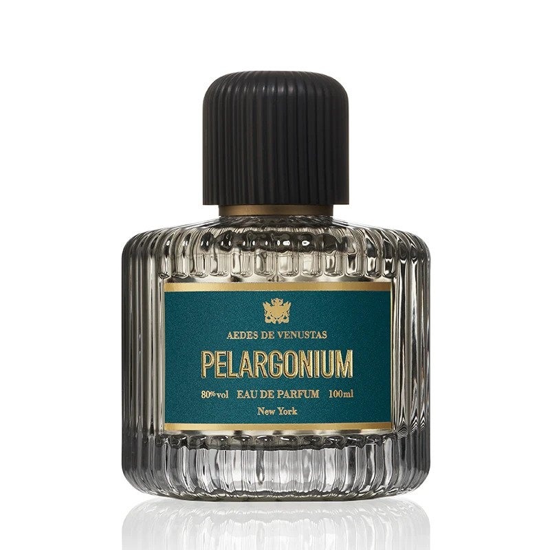 Pelargonium Aedes de Venustas