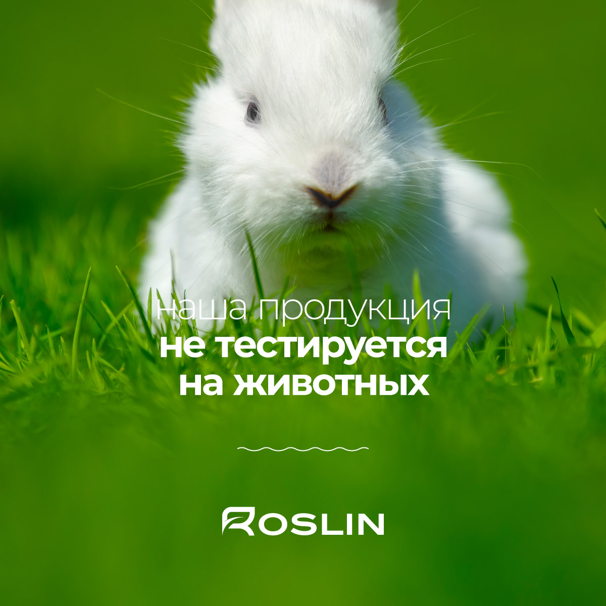 Гель для душа и ванны Roslin "Floral" водные цветы-фрукты 300 мл женский, ароматная коллекция для нее МИКА ГРУПП ООО