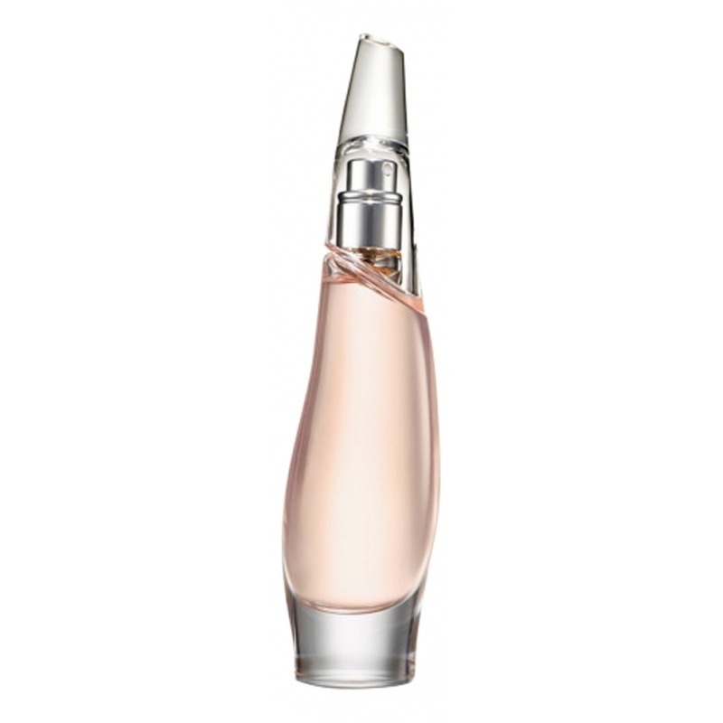 Liquid Cashmere Blush DKNY