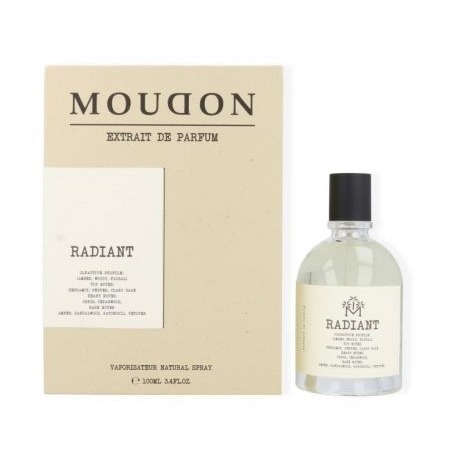 Radiant Moudon