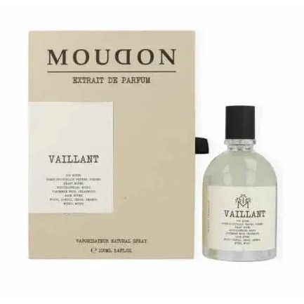 Vaillant Moudon
