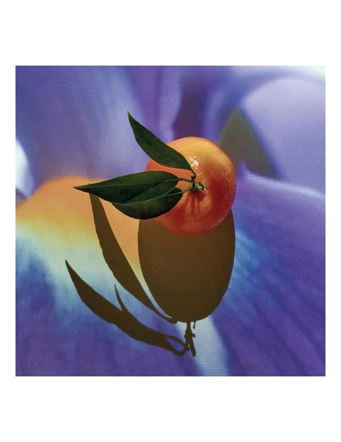 Loewe Solo Elixir 50 Vap M brown Cosmetara Charm Co.