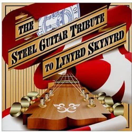 CD VARIOUS - Steel Guitar Tribute to Lynyrd Skyn CD8638 Japan Music Others Used brown RecordCityJP