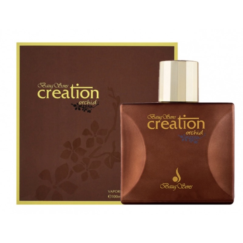 Creation Orchid Baug Sons