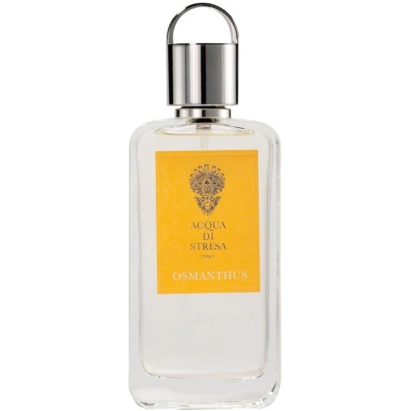 Osmanthus Acqua di Stresa