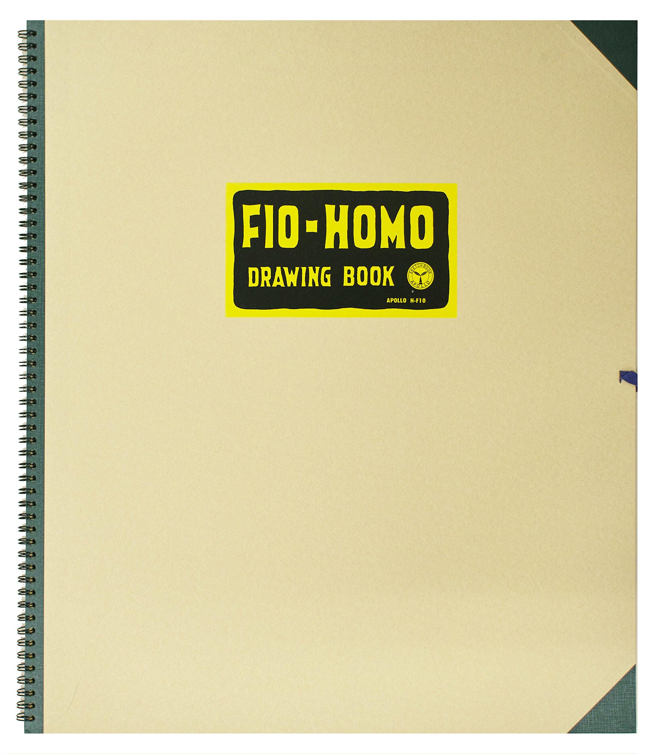 Бумага для рисования Muse Homobook F10 163г Белая 23 листа AP-9 H-F10 black hayatospeed