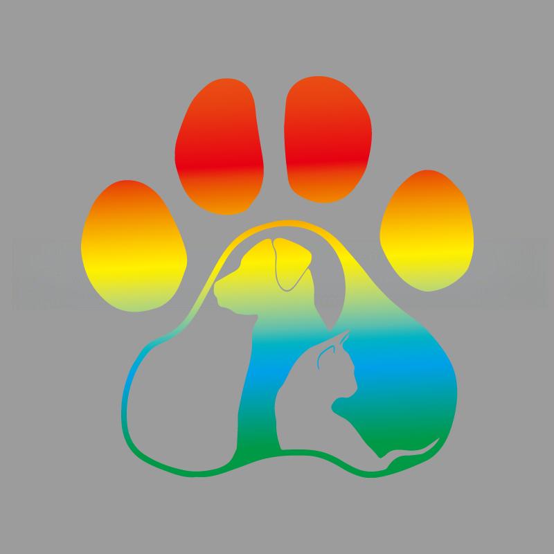 Paws Дневник кошки и собаки креативные и забавные наклейки для поклонников и любителей мультфильмов, высокое качество для автомобилей, грузовиков, мотоциклов и ноутбуков S yellow Car beautiful stickers
