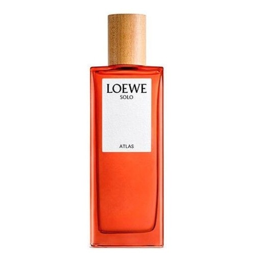 Solo Atlas Loewe