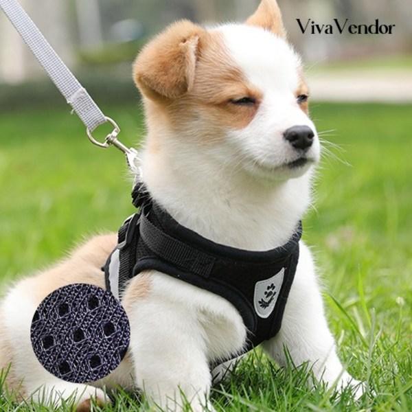 Шлейка + поводок для собаки Vivabender, черный black Board M Factory