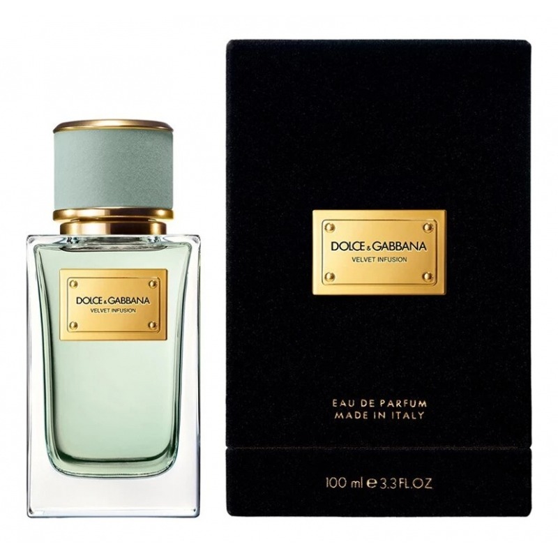 Velvet Infusion DOLCE & GABBANA
