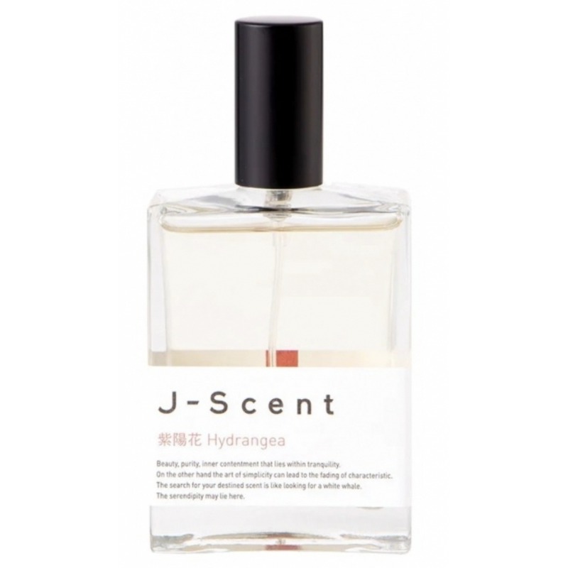Hydrangea J-Scent