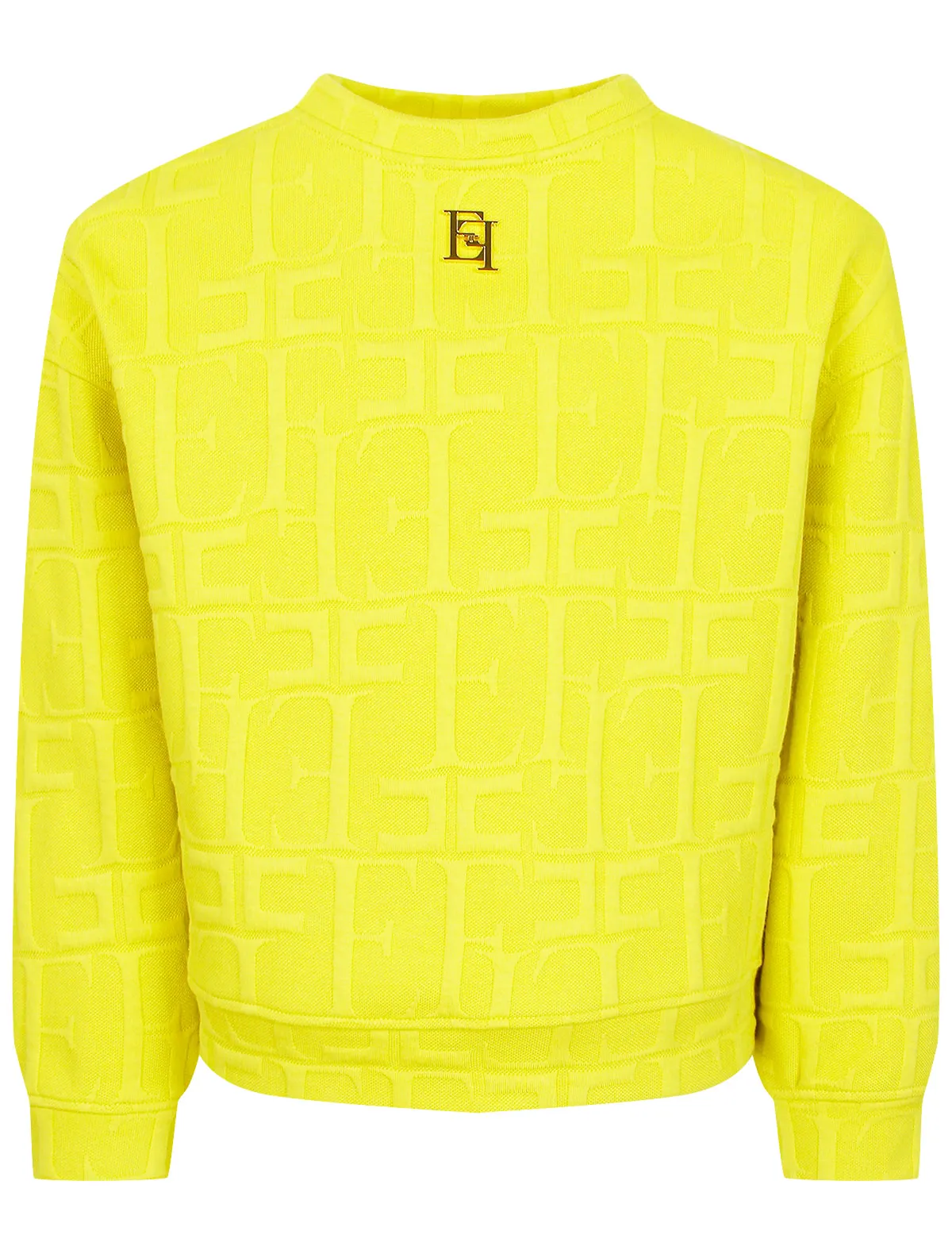 Свитшот ELISABETTA FRANCHI 2645481