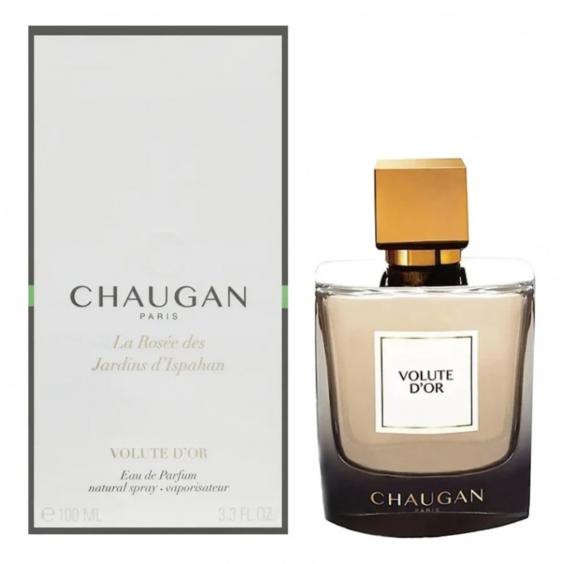 Volute D'Or Chaugan