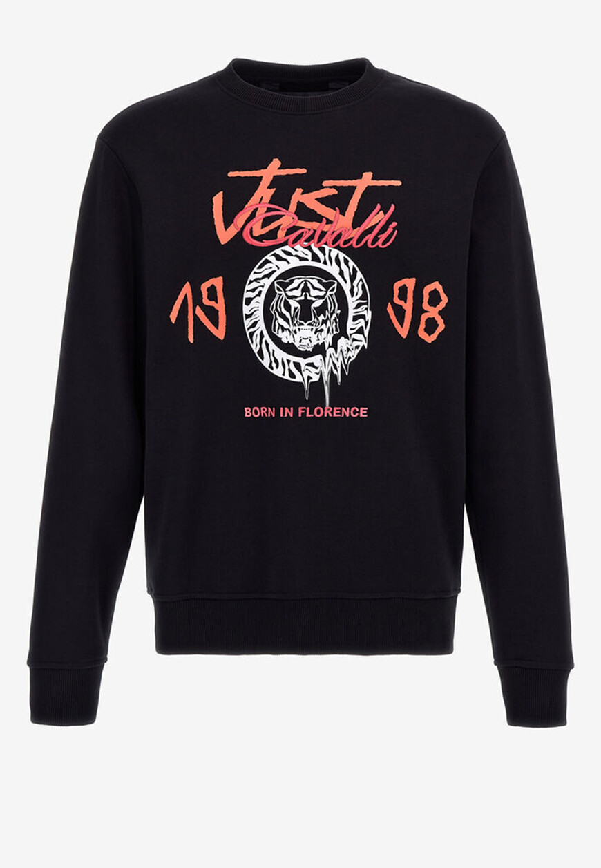 Свитшот Just Cavalli 75OAII01