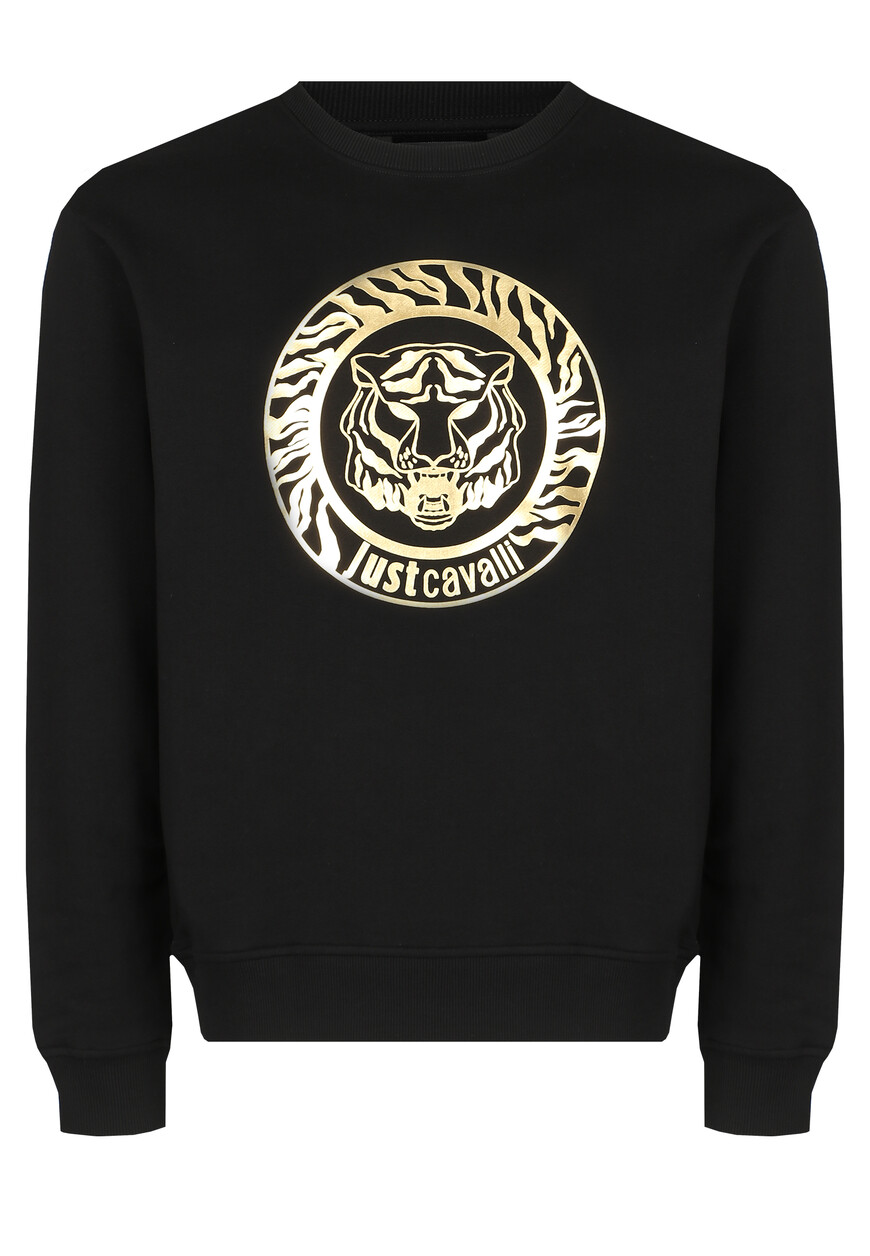 Свитшот Just Cavalli 75OAIT01
