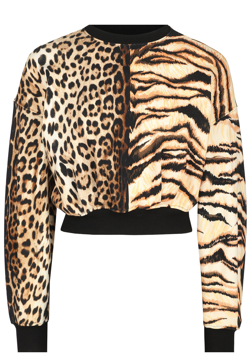 Свитшот Roberto Cavalli RKT68C 2OH15