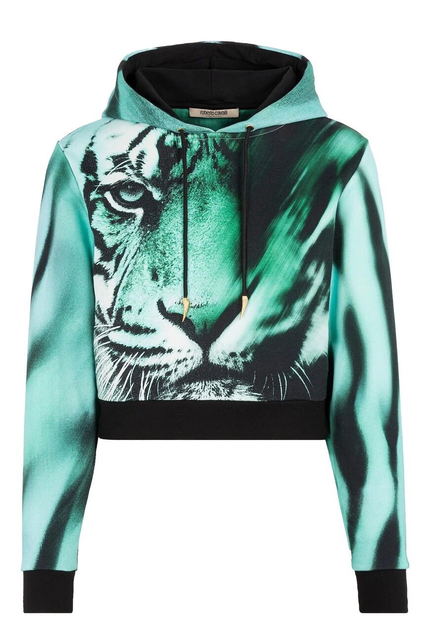 Худи Roberto Cavalli PKT68C5OE41