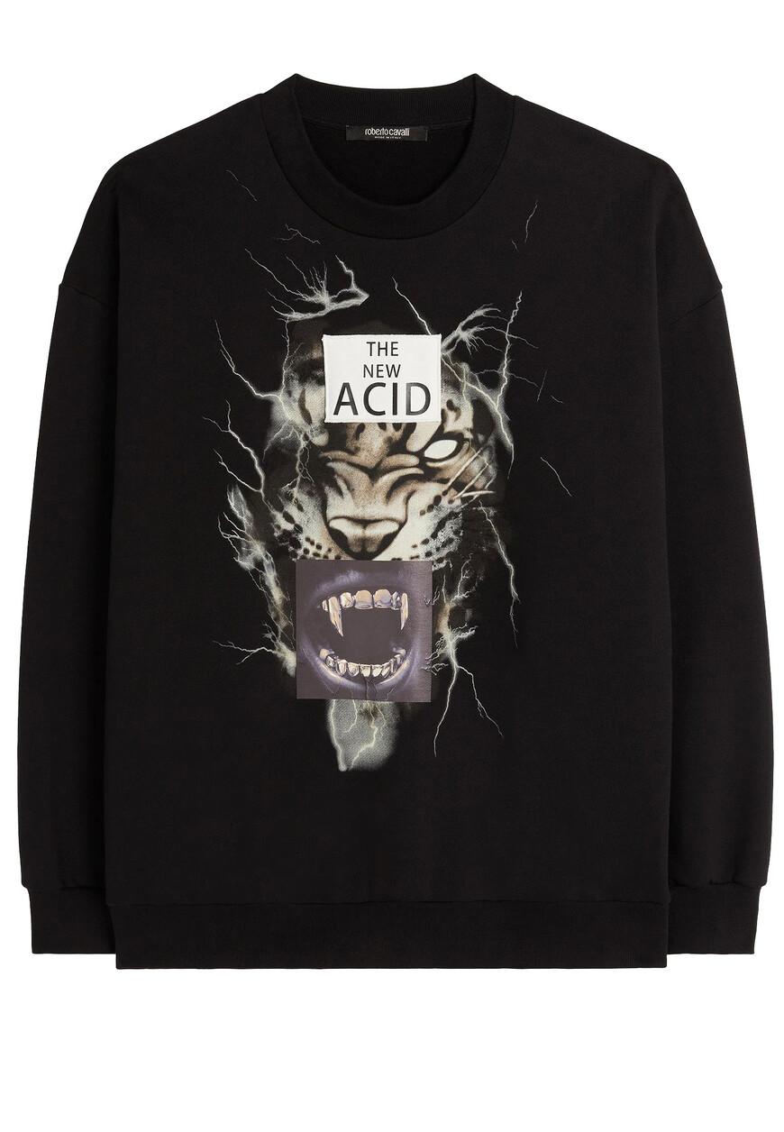 Свитшот Roberto Cavalli NNT67E CF060