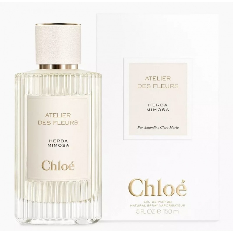 Atelier Des Fleurs Herba Mimosa Chloe