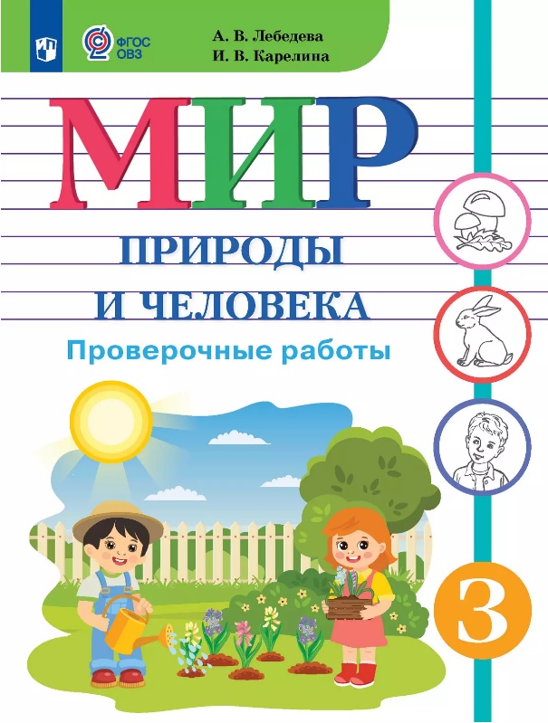 Мир природы и человека. 3 класс. Проверочные работы (для обучающихся с интеллектуальными нарушениями) Читай-город