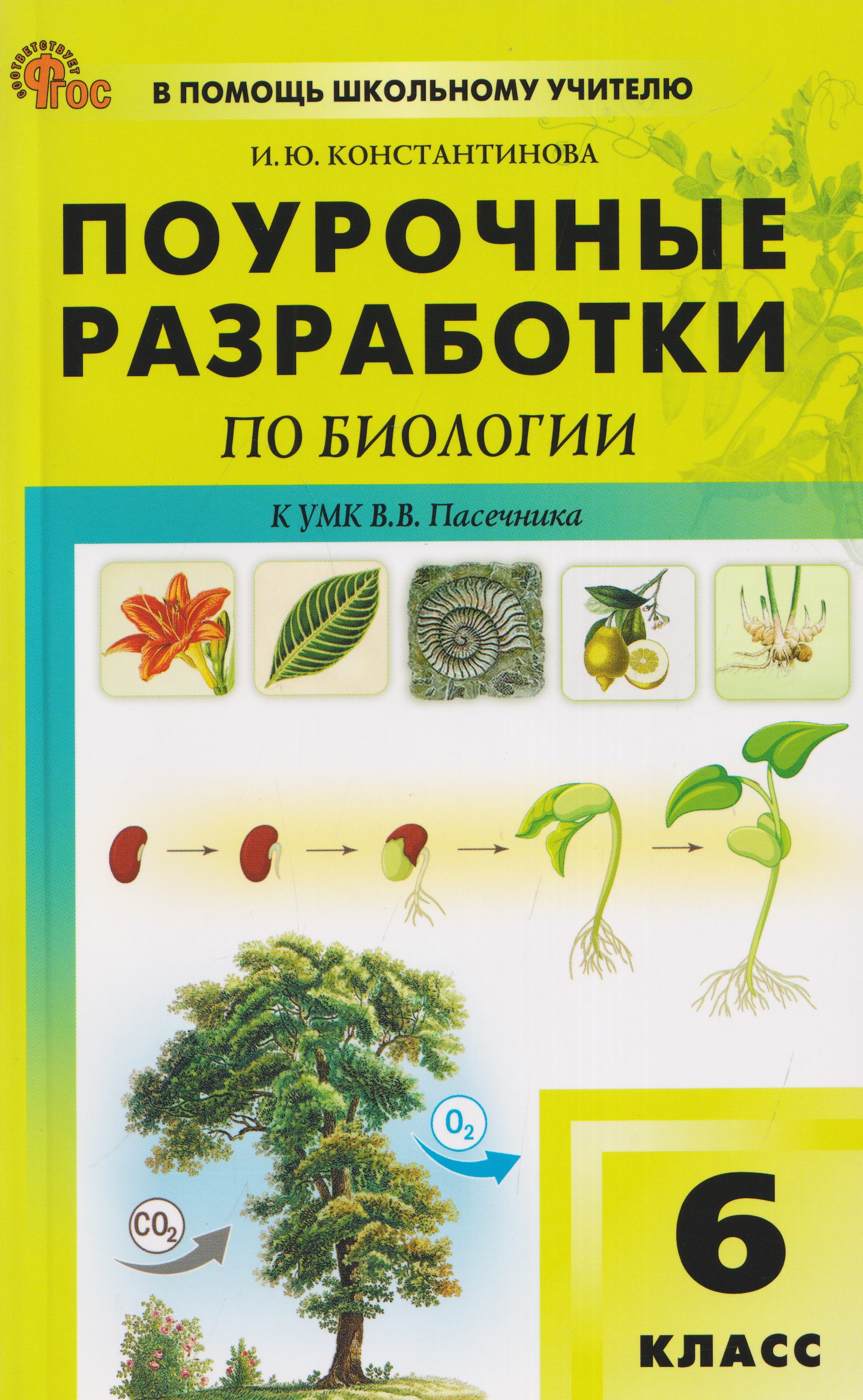 Поурочные разработки по биологии. 6 класс. К УМК В.В. Пасечника. Пособие для учителя Читай-город