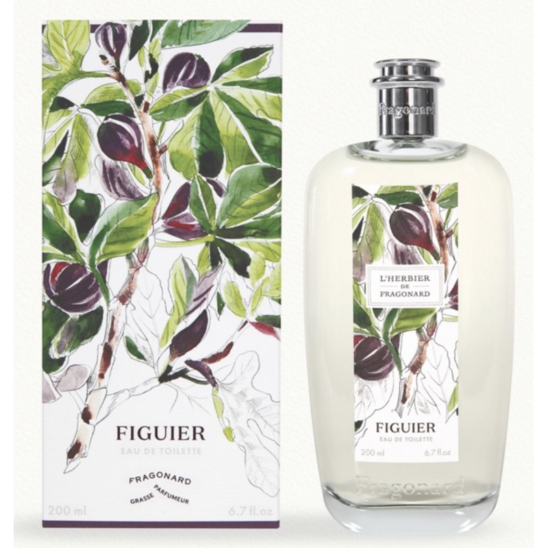 L'Herbier Figuier Fragonard