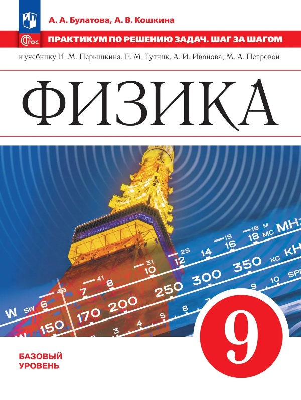 Физика. 9 класс. Практикум по решению задач. Шаг за шагом. Базовый уровень Читай-город