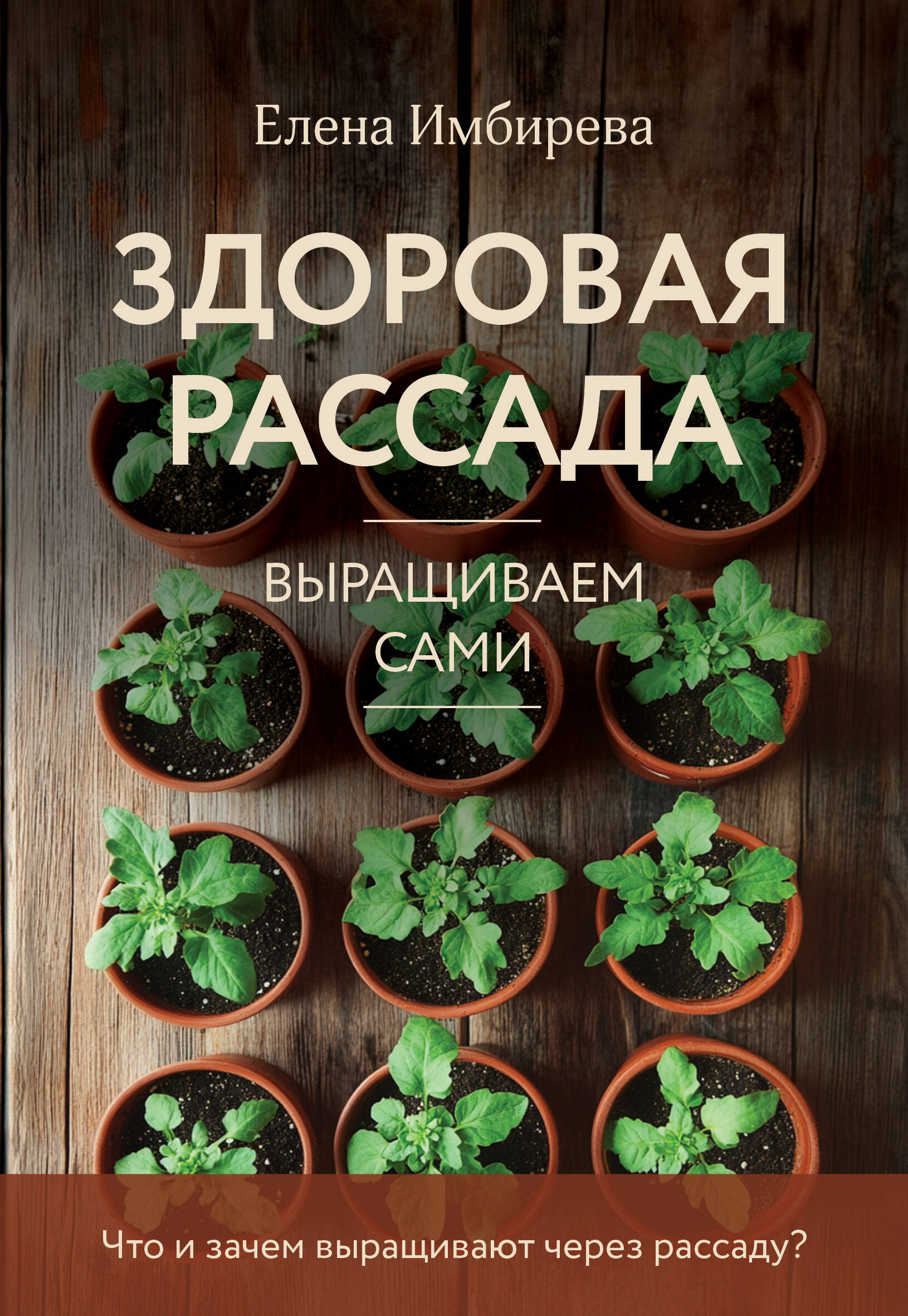 Здоровая рассада. Выращиваем сами (новое оформление) Читай-город