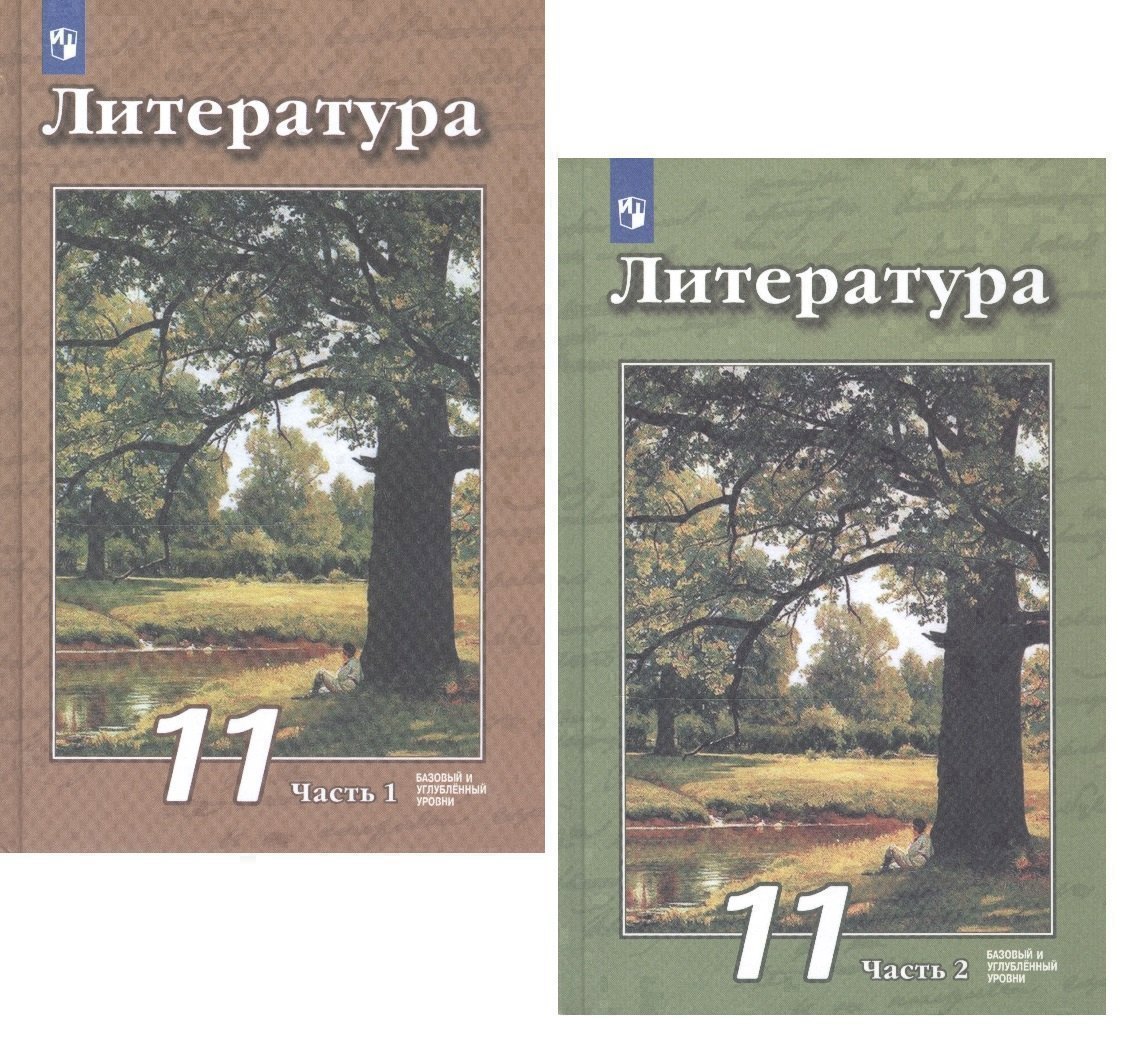 Литература. 11 класс. Базовый и углубленный уровни. Учебник (комплект из 2 книг) Читай-город