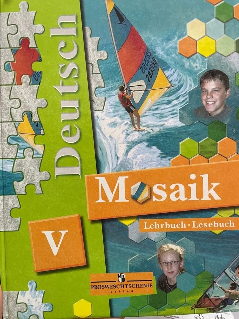 Мозаика. Немецкий язык. 5 класс. Учебник для школ с углубленным изучением немецкого языка Читай-город